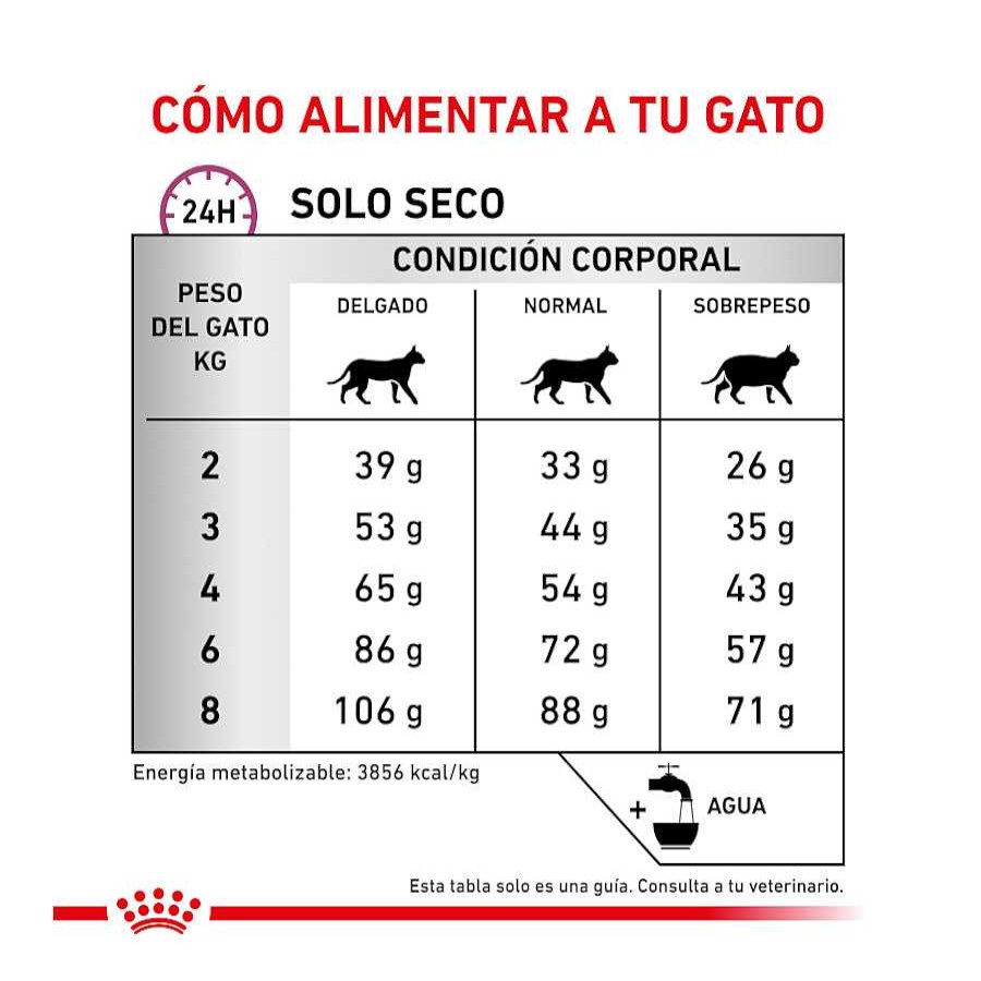 Gatos Royal Canin Dietas Veterinarias | Royal Canin Veterinary Mobility Pienso Para Gatos