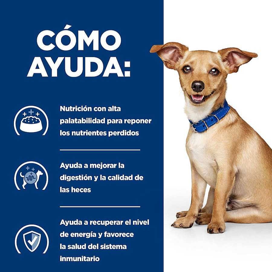 Perros Hill's Dietas Veterinarias | Hill'S Prescription Diet Digestive Care I/D Estofado Pollo Y Verduras Lata Para Perros