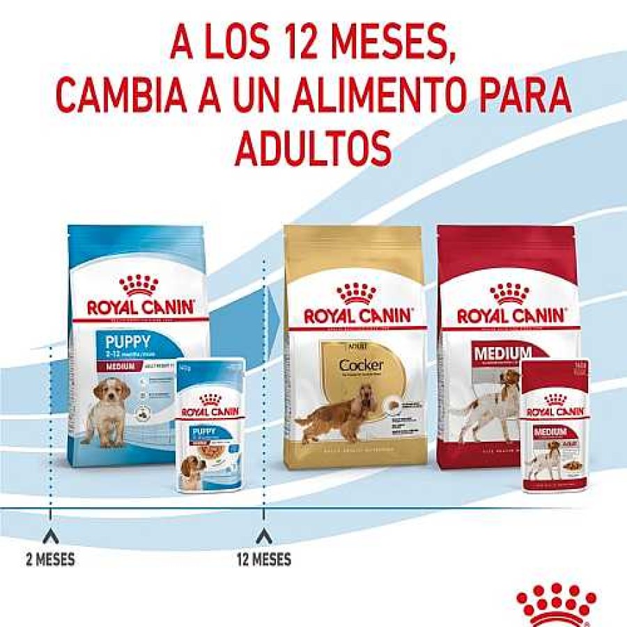 Perros Royal Canin Comida H Meda | Royal Canin Medium Puppy Sobres