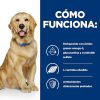 Perros Hill's Pienso Seco | Hill'S Prescription Diet Mobility Pollo Pienso Para Perros