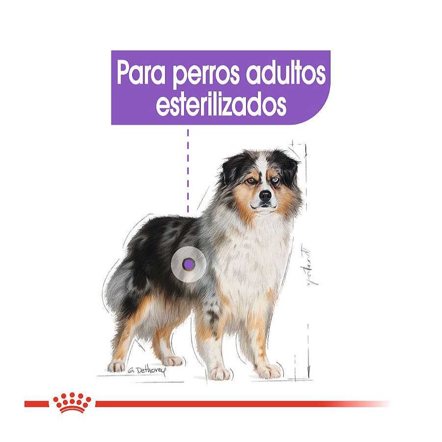 Perros Royal Canin Pienso Seco | Royal Canin Sterilised Medium Pienso Para Perros