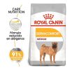 Perros Royal Canin Pienso Seco | Royal Canin Dermacomfort Medium Pienso Para Perros