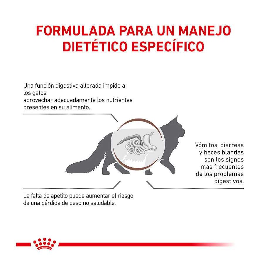 Gatos Royal Canin Pienso Seco | Royal Canin Veterinary Gastrointestinal Pienso Para Gatos