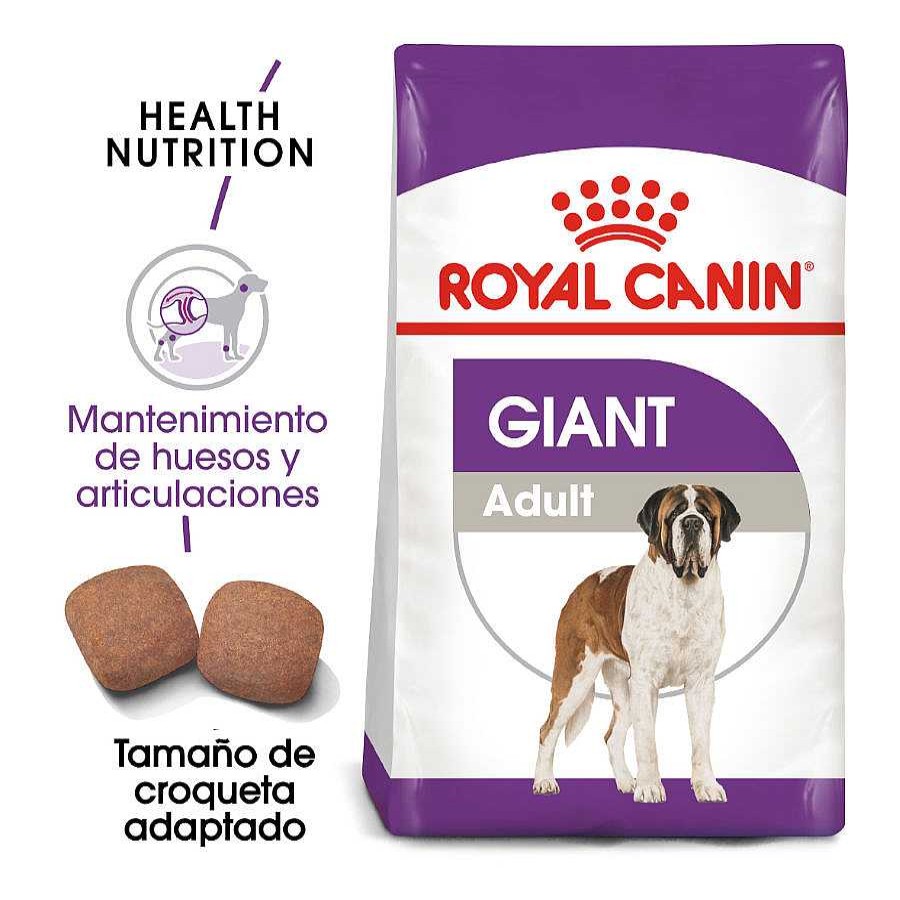 Perros Royal Canin Pienso Seco | Royal Canin Giant Adult Pienso Para Perros