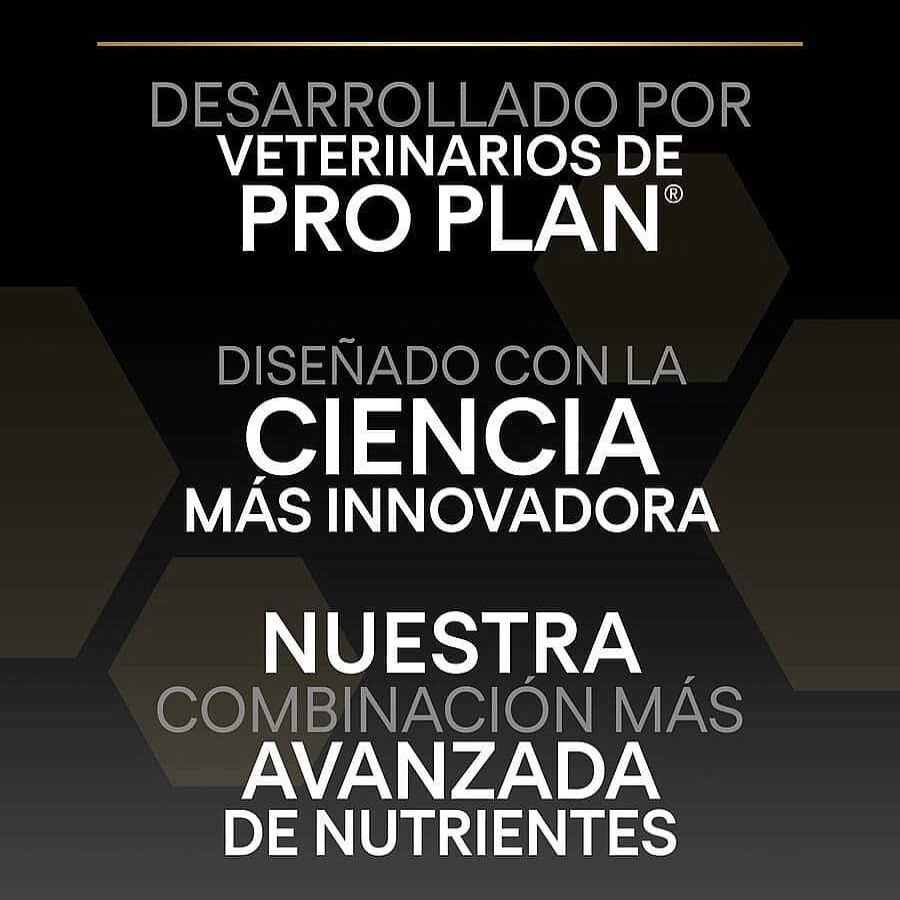 Perros Pro Plan Pienso Seco | Pro Plan Adult Medium Digesti N Cordero Pienso Para Perros