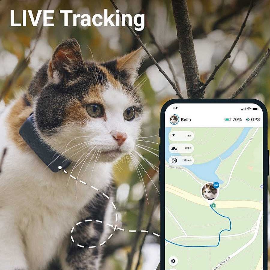 Gatos Tractive Arneses, Collares Y Correas | Tractive Localizador Gps Para Gatos