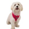 Perros TK-Pet Arneses, Collares Y Correas | Tk-Pet Soft Arn S Reflectante Rosa Para Perros