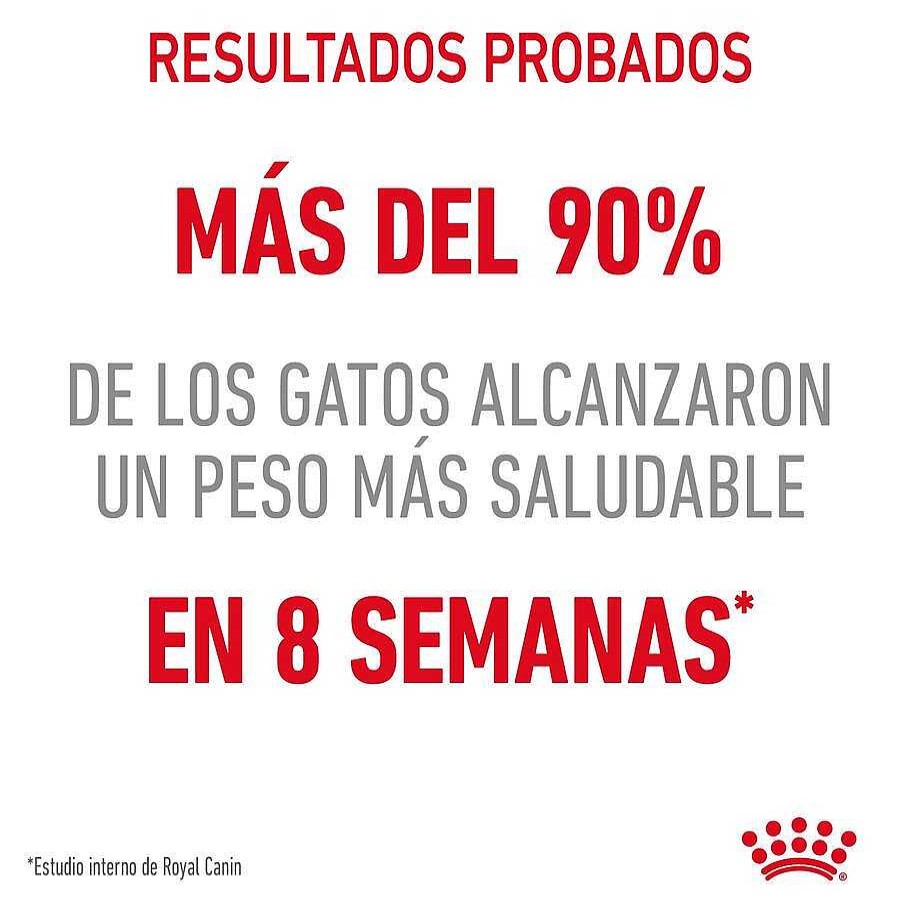 Gatos Royal Canin Pienso Seco | Royal Canin Adult Light Weight Care Pienso Para Gatos