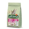 Gatos Ultima Pienso Seco | Affinity Ultima Junior Pollo Pienso Para Gatos