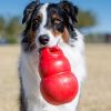 Accesorios Kong | Kong Bounzer Juguete Rojo Para Perros