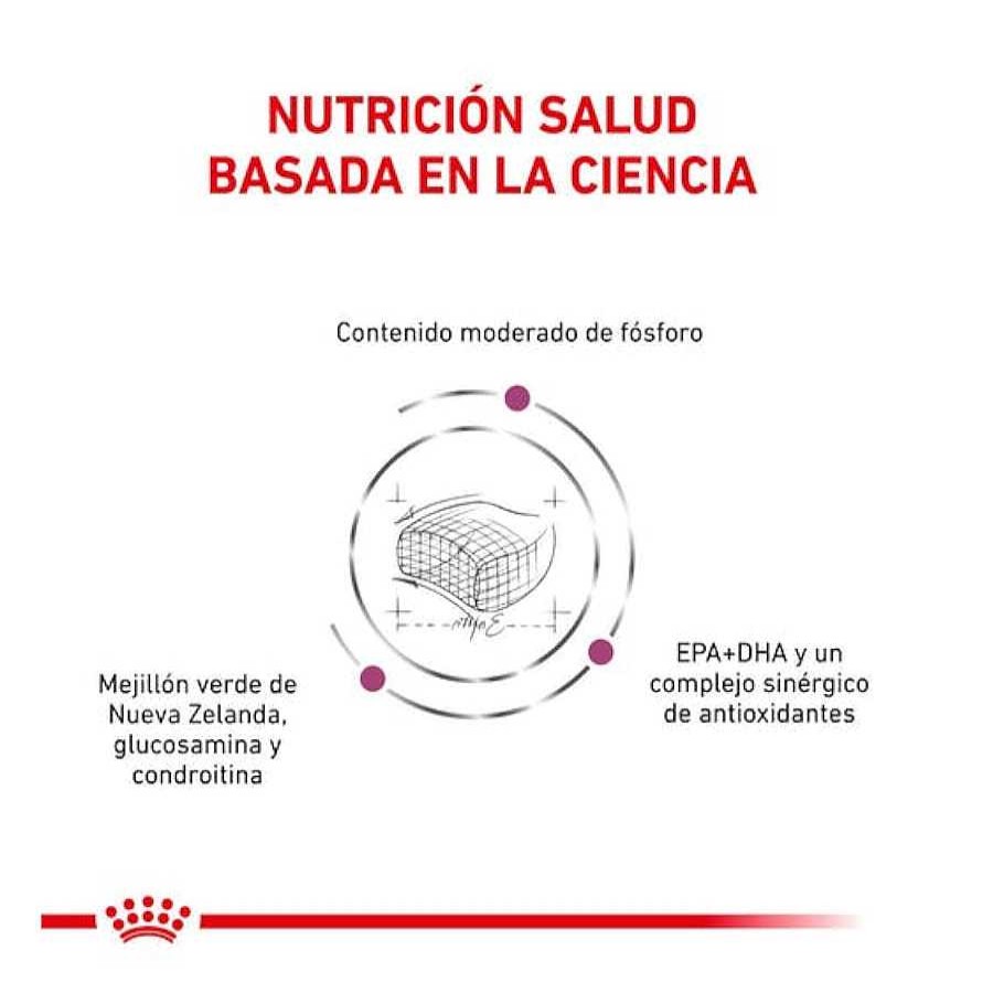 Gatos Royal Canin Pienso Seco | Royal Canin Veterinary Early Renal Pienso Para Gatos