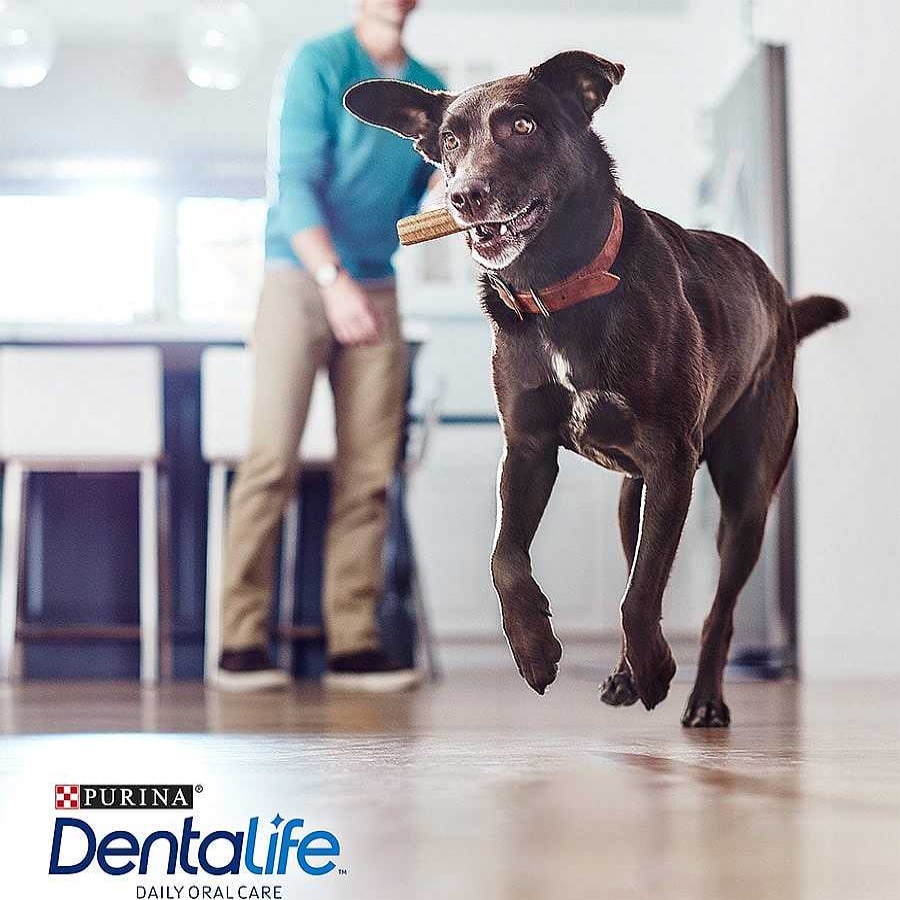 Perros Dentalife Snacks Y Chuches | Dentalife Snacks Dentales Para Perros De Raza Grande