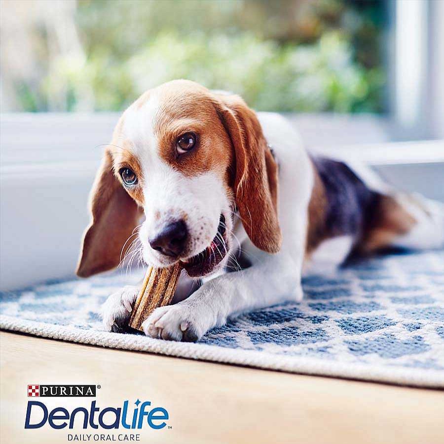 Perros Dentalife Snacks Y Chuches | Dentalife Snacks Dentales Para Perros De Raza Peque A