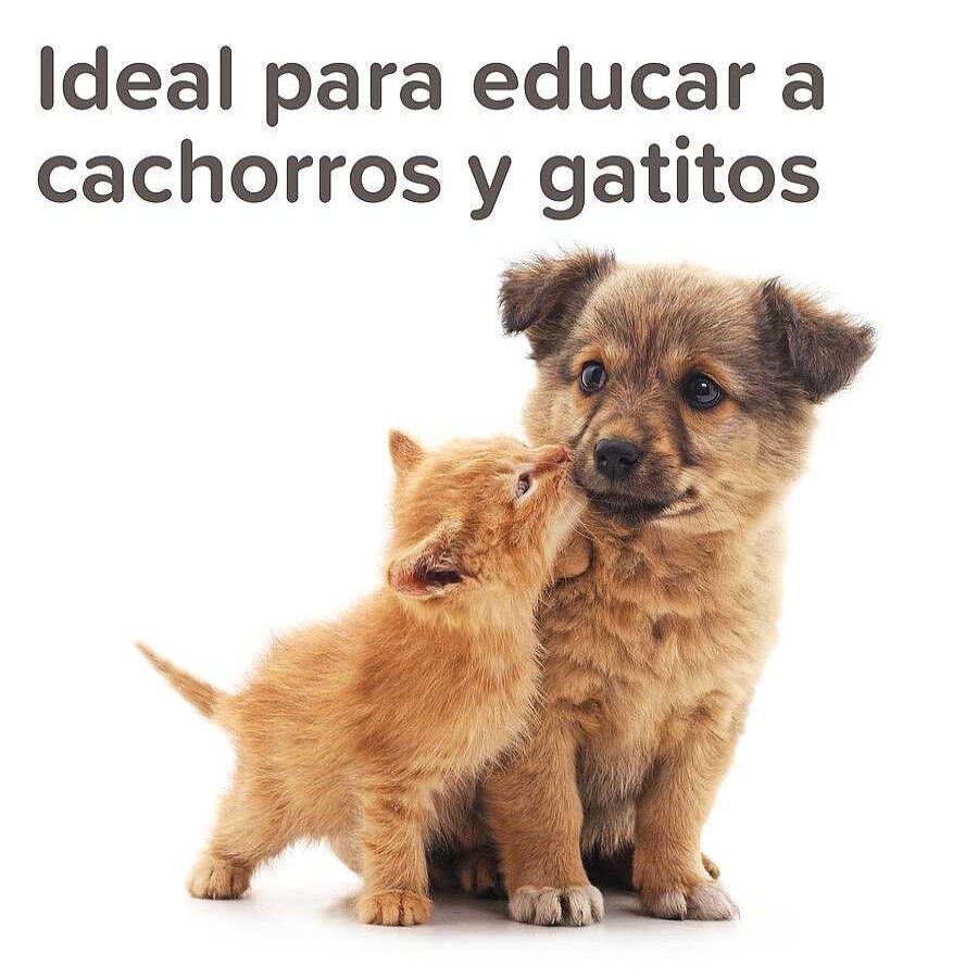 Perros Beaphar Educaci N Y Adiestramiento | Beaphar Spray Educador Para Exterior Para Perros Y Gatos