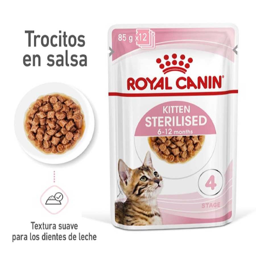 Gatos Royal Canin Comida H Meda | Royal Canin Kitten Sterilised Salsa Sobre Para Gatos