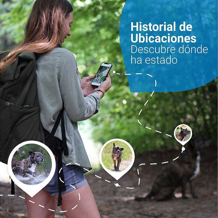 Perros Tractive Educaci N Y Adiestramiento | Tractive Localizador Gps Color Azul Para Perros