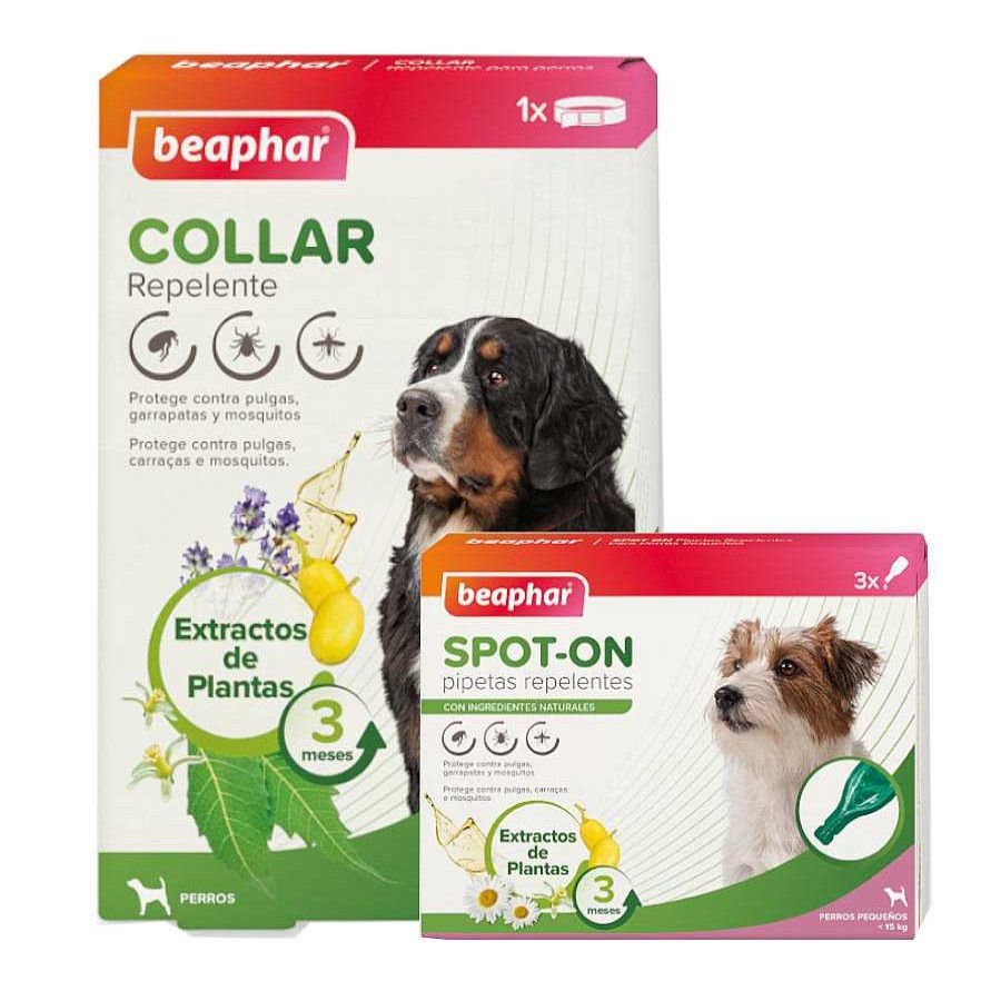 Perros Beaphar Antiparasitarios | Beaphar Pack Pipetas Y Collar Repelente Para Perros