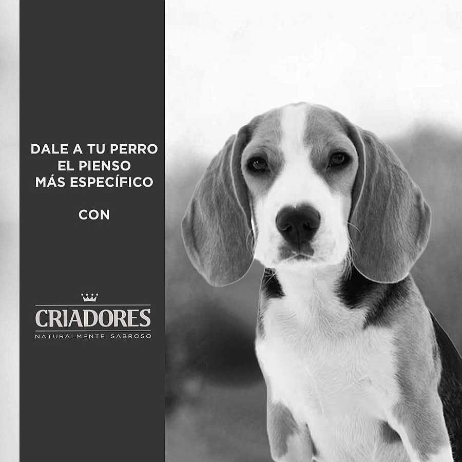 Perros Criadores Dietas Veterinarias | Criadores Adulto Obesity Pienso Para Perros