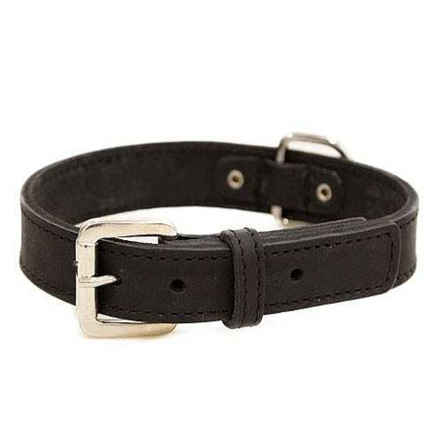 Perros TK-Pet Arneses, Collares Y Correas | Tk-Pet Namur Collar De Cuero Negro Para Perros