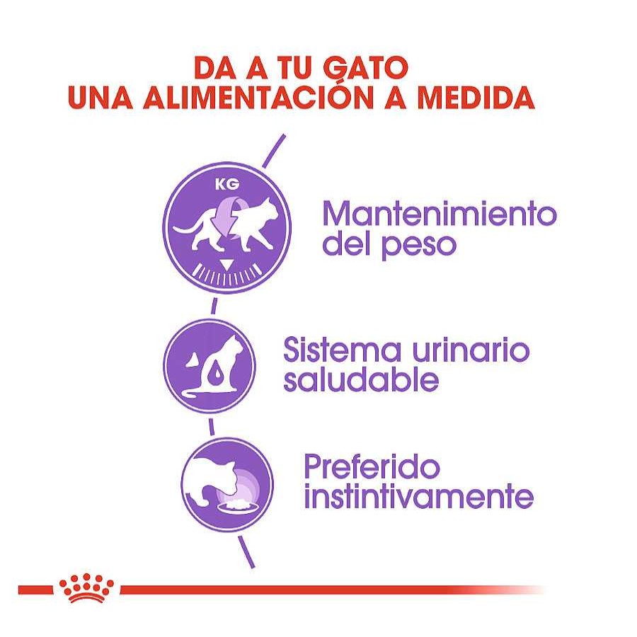 Gatos Royal Canin Comida H Meda | Royal Canin Feline Sterilised Salsa Sobres Para Gato