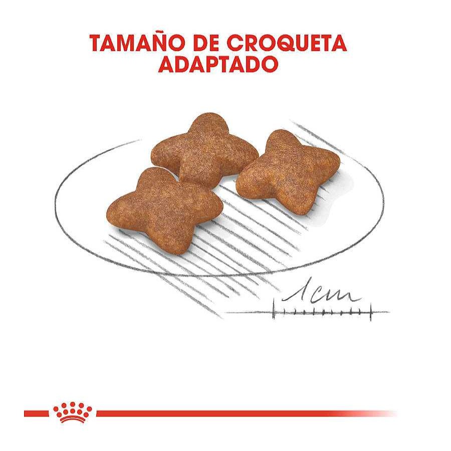 Perros Royal Canin Pienso Seco | Royal Canin Mini Adult Pienso Para Perros