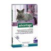 Gatos Advantage | Advantage Pipetas Antiparasitarias Para Gatos