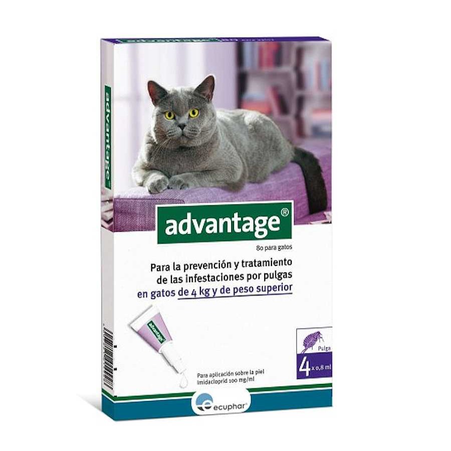 Gatos Advantage | Advantage Pipetas Antiparasitarias Para Gatos