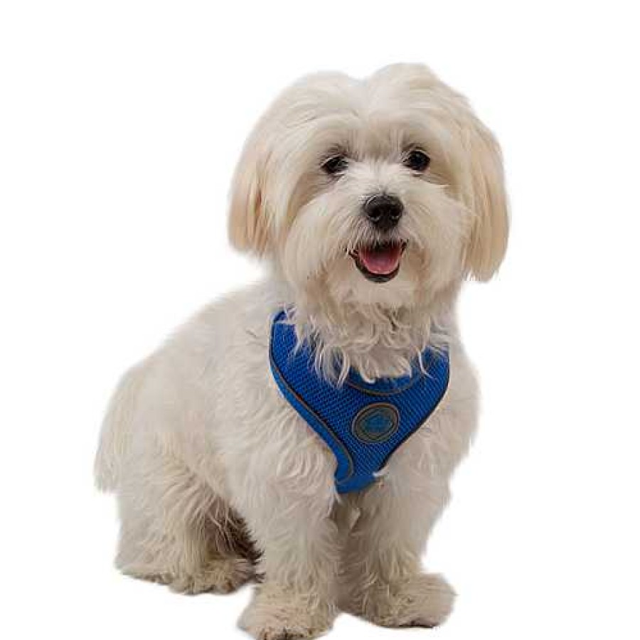 Perros TK-Pet Arneses, Collares Y Correas | Tk-Pet Soft Arn S Reflectante Azul Para Perros