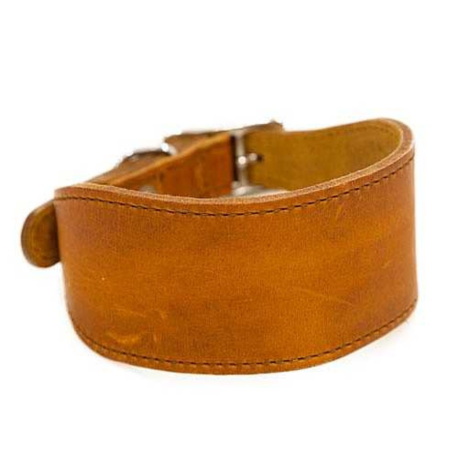 Perros TK-Pet Arneses, Collares Y Correas | Tk-Pet Namur Collar De Cuero Cognac Para Galgos