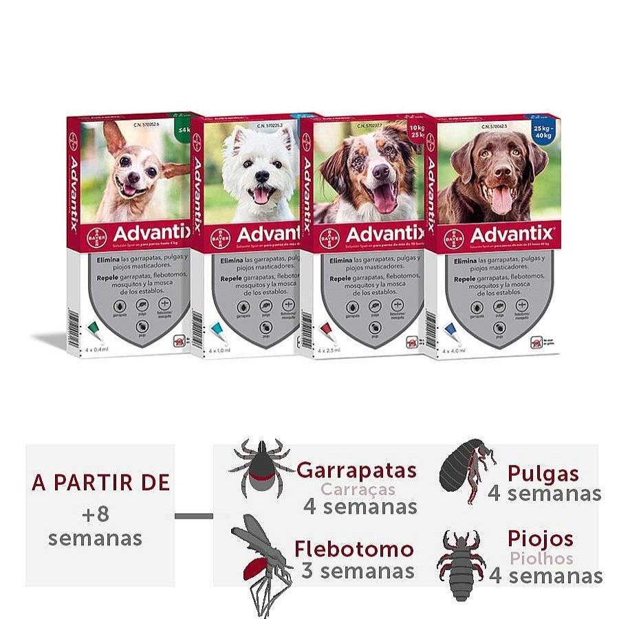 Perros Advantix Antiparasitarios | Advantix Pipetas Antiparasitarias Para Perros