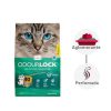 Gatos Odourlock | Intersand Odourlock Arena Aglomerante Para Gatos