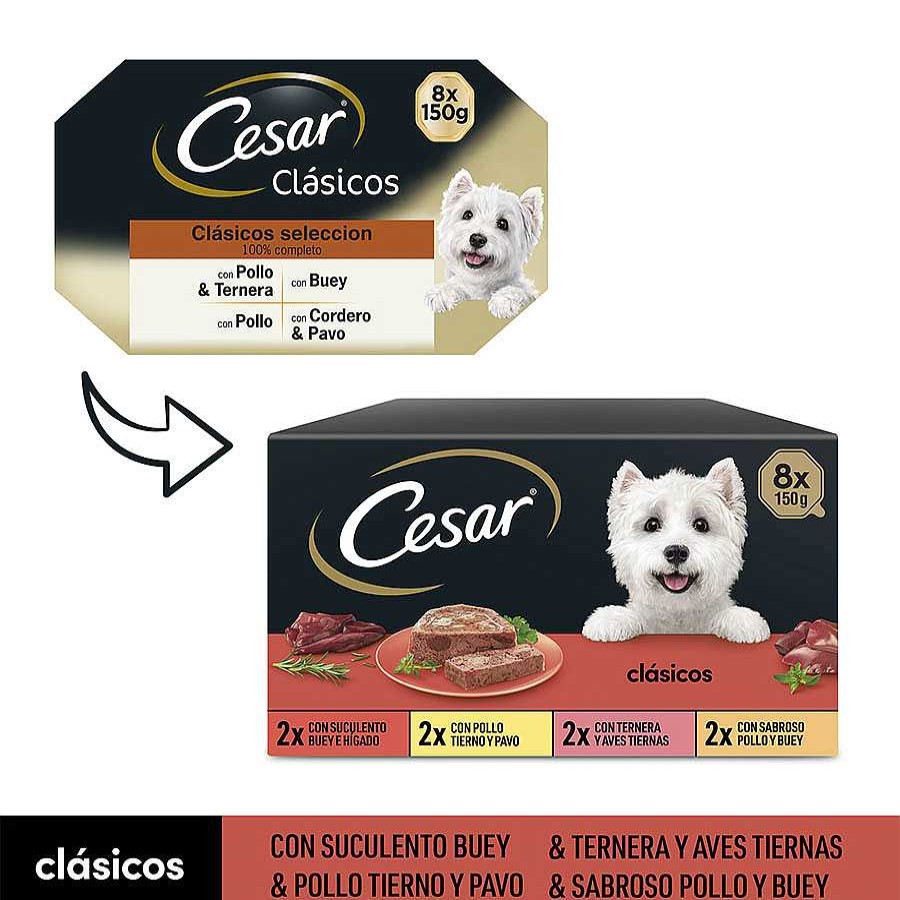 Perros Cesar Comida H Meda | Cesar Selecci N Clasicos Tarrina En Pat Para Perros - Multipack