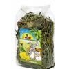 Conejos Y Roedores JR Farm Snacks | Jr Farm Diente De Le N Para Roedores Y Reptiles