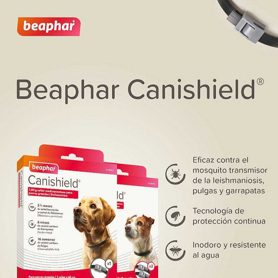 Perros Beaphar Antiparasitarios | Beaphar Canishield Collar Antiparasitario Para Perros Peque Os Y Medianos