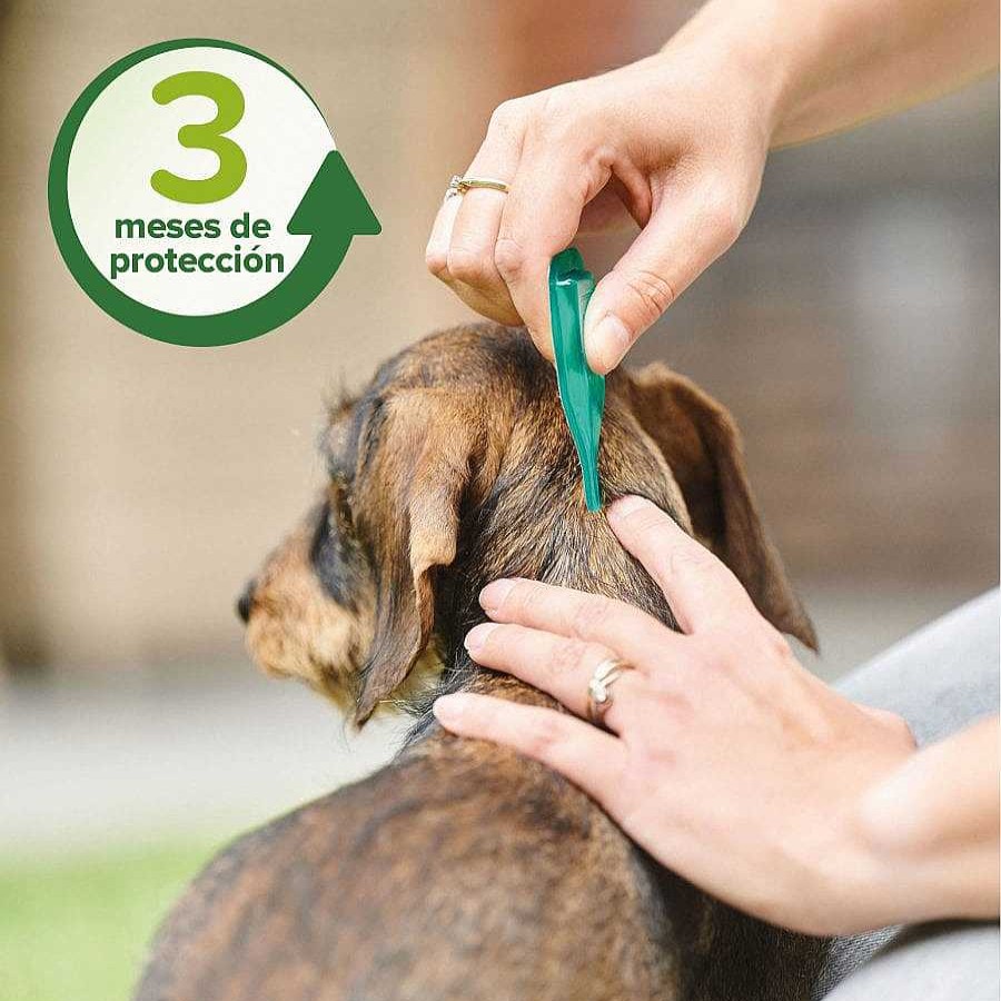 Perros Beaphar Antiparasitarios | Beaphar Pipetas Repelentes Para Perros Grandes