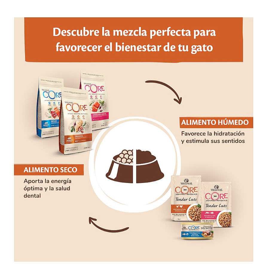 Gatos Wellness Core Pienso Seco | Wellness Core Kitten Pavo Y Pollo Pienso Para Gatos