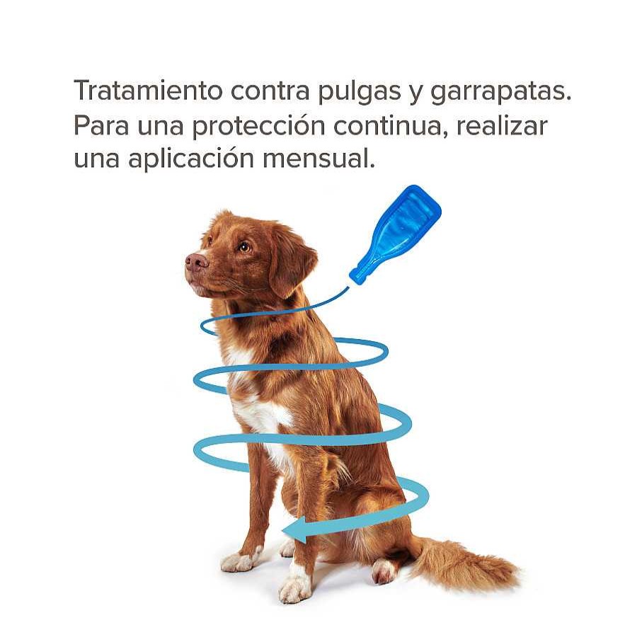 Perros Beaphar Antiparasitarios | Beaphar Fiprotec Pipetas Para Perros De Razas Peque As