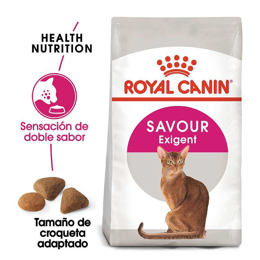 Gatos Royal Canin Pienso Seco | Royal Canin Adult Exigent Savour Pienso Para Gatos