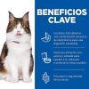 Gatos Hill's Pienso Seco | Hill'S Science Plan Perfect Digestion Adult Pollo Pienso Para Gatos