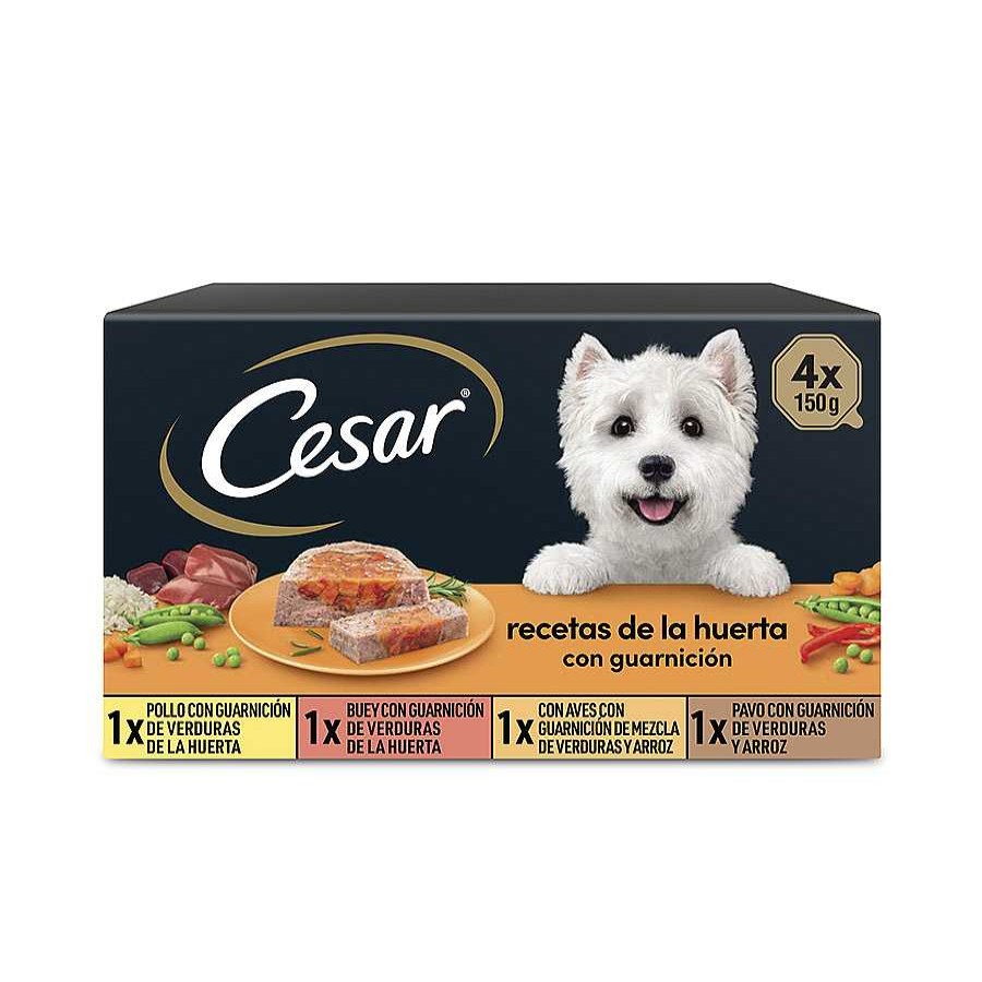 Perros Cesar Comida H Meda | Cesar Recetas De La Huerta Tarrina En Pat Y Gelatina Para Perros - Multipack