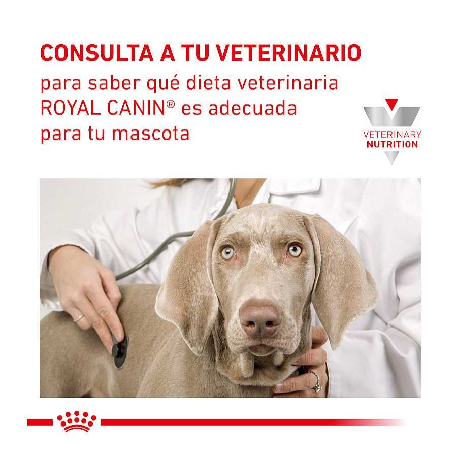 Perros Royal Canin Dietas Veterinarias | Royal Canin Veterinary Recovery Lata Para Perros Y Gatos