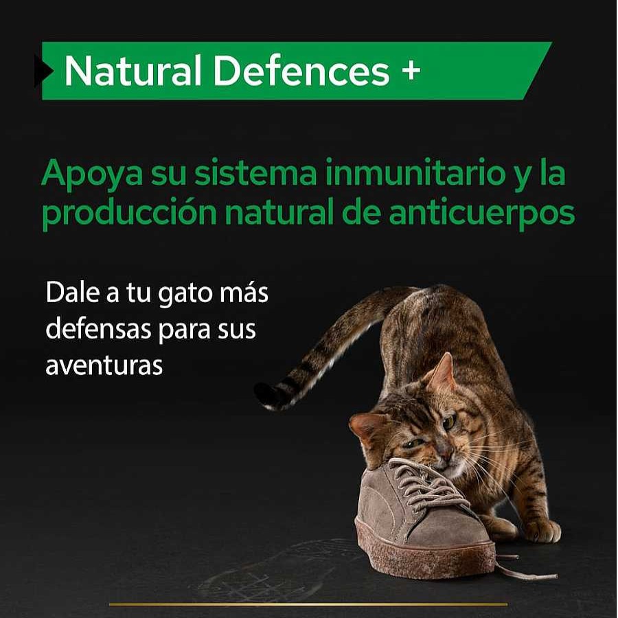 Gatos Pro Plan | Pro Plan Natural Defences + Para Gatos