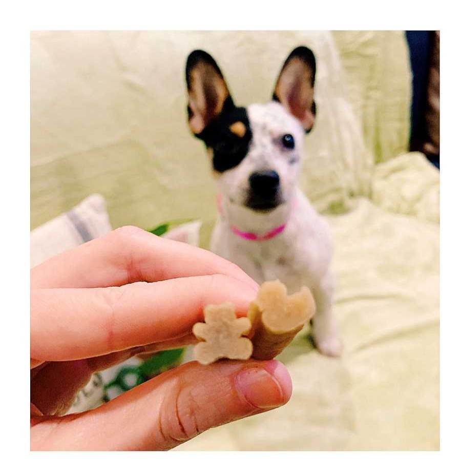 Perros Whimzees Snacks Y Chuches | Whimzees Small Snacks Dentales Naturales Para Cachorros