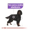 Perros Royal Canin Pienso Seco | Royal Canin Sterilised Maxi Pienso Para Perros