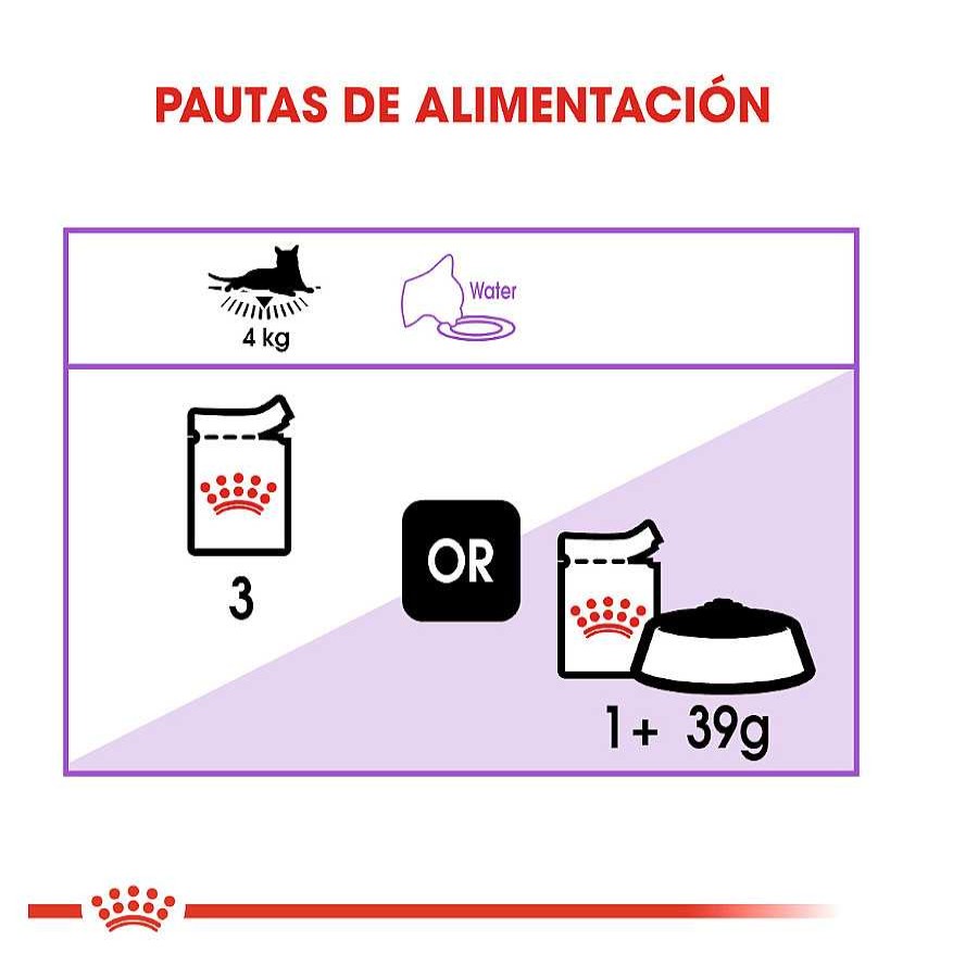 Gatos Royal Canin Comida H Meda | Royal Canin Sterilised Gelatina Sobres Para Gato