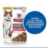 Gatos Hill's Comida H Meda | Hill'S Science Plan Sterilized Young Adult Salm N Sobre Para Gatos