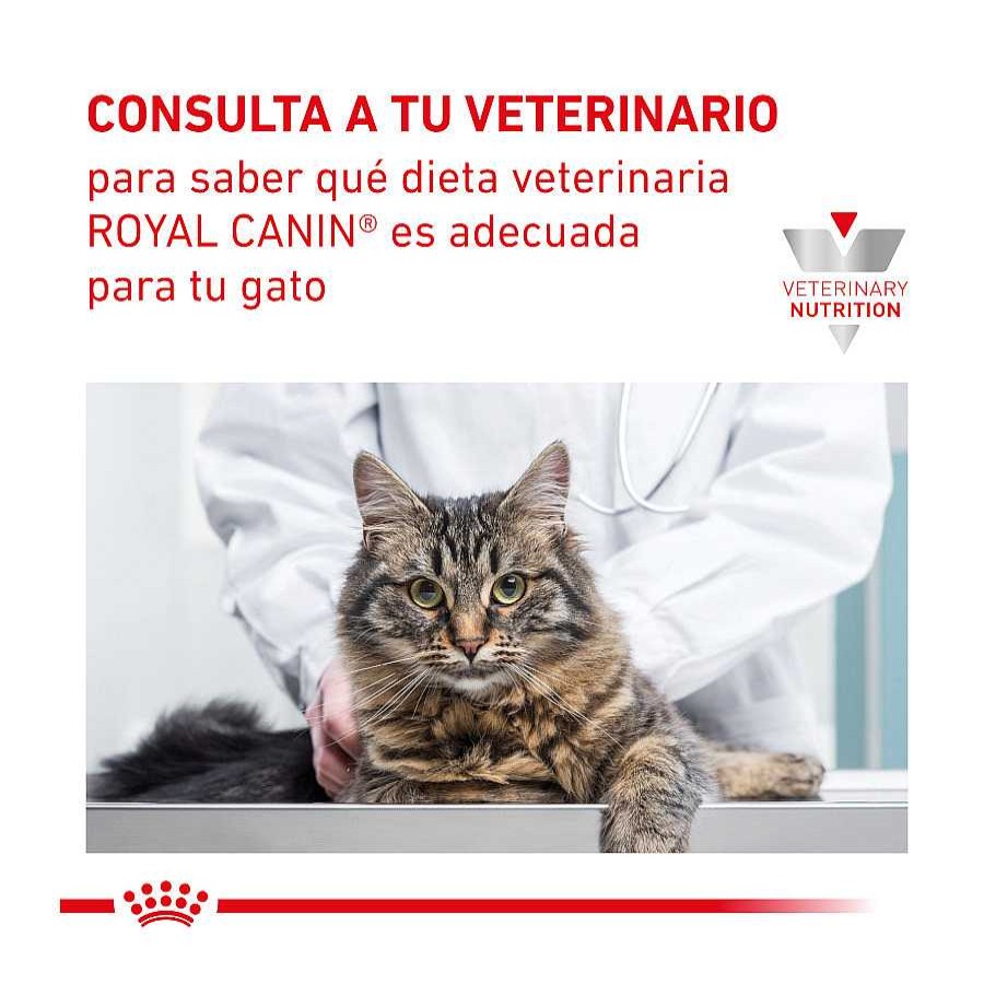 Gatos Royal Canin Pienso Seco | Royal Canin Veterinary Gastrointestinal Fibre Response Pienso Para Gatos