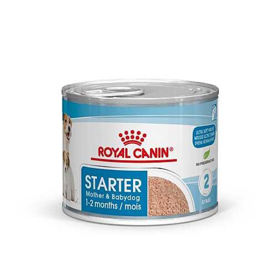 Perros Royal Canin Comida H Meda | Royal Canin Starter Mommy & Baby Mousse Latas Para Perros