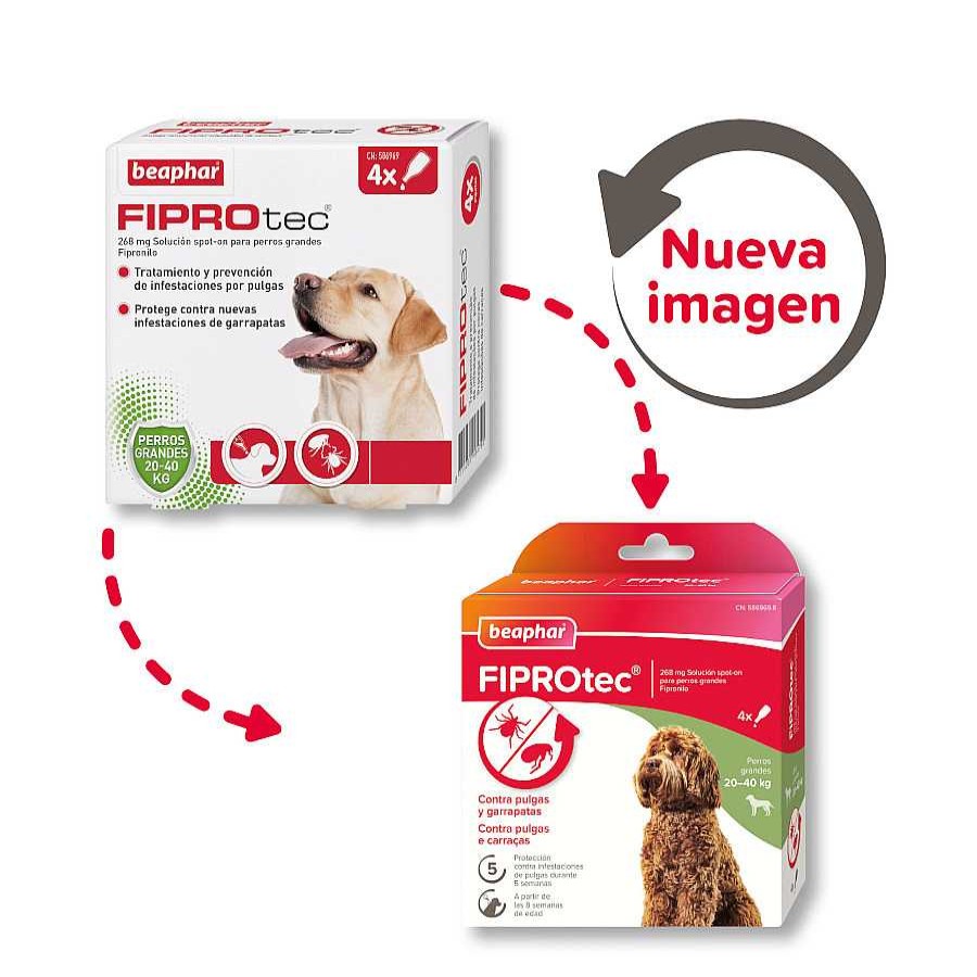 Perros Beaphar Antiparasitarios | Beaphar Fiprotec Pipetas Para Perros De Razas Grandes