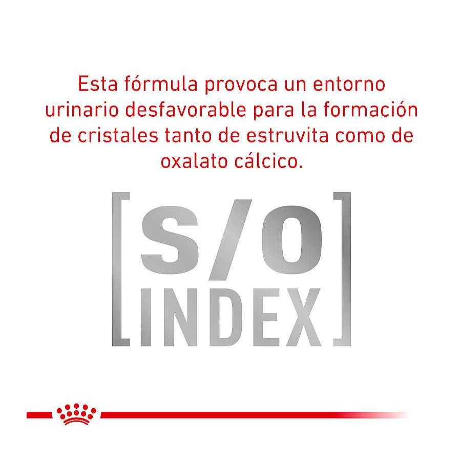 Gatos Royal Canin Pienso Seco | Royal Canin Veterinary Urinary Moderate Calorie Pienso Para Gatos